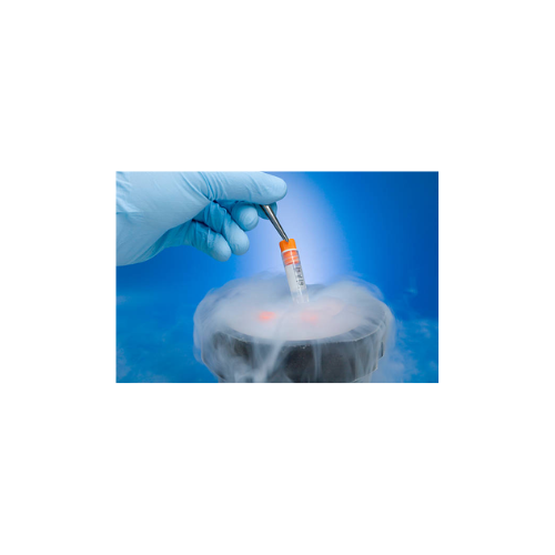 Frozen Embryo Transfer (8)