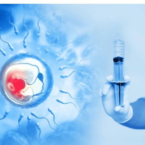 Frozen Embryo Transfer (7)