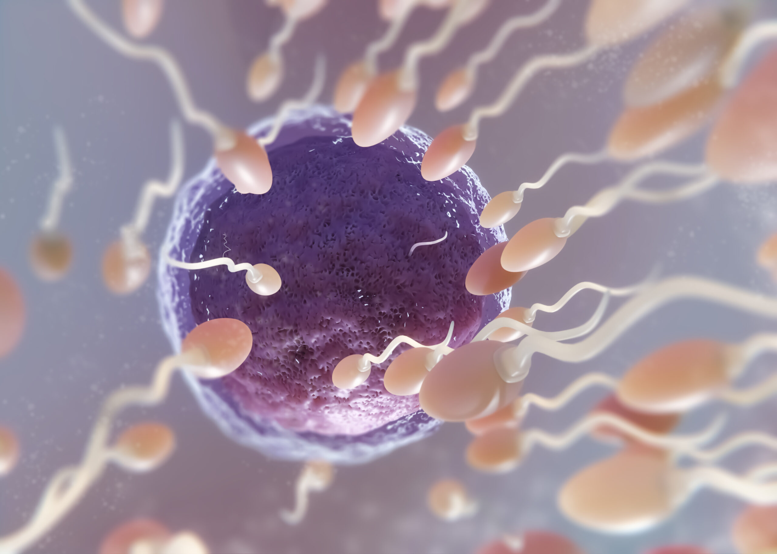 beautiful-fertility-concept-3d-rendering